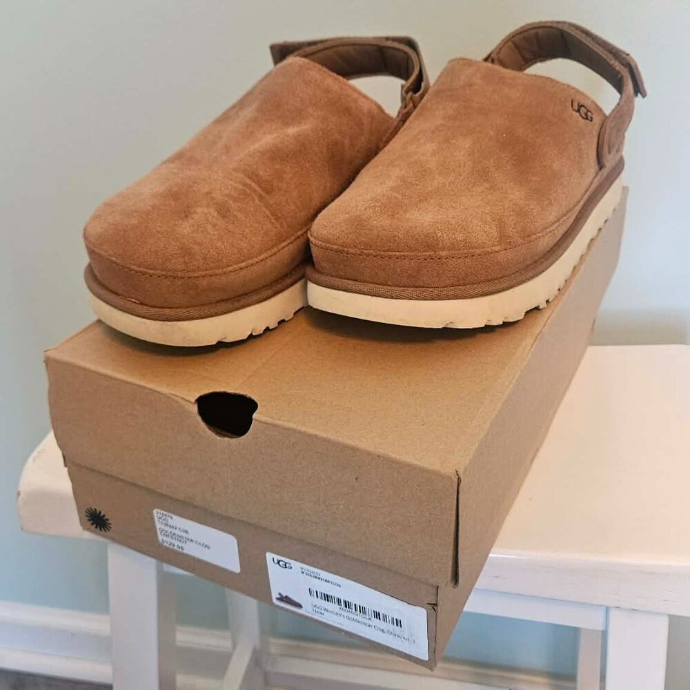 Women's Goldenstar Clog in Chestnut